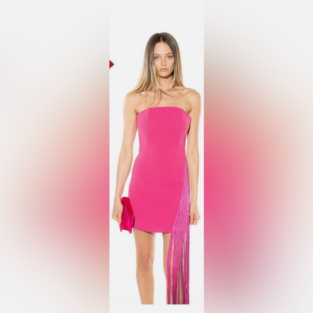 Torn by Ronny Kobo Capri Strapless Fringe Mini